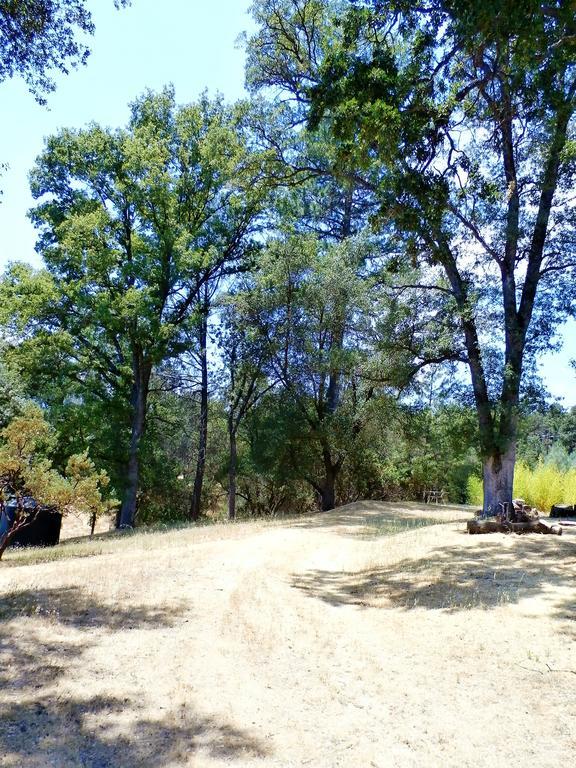New Charming 2 Bedrooms Unit Close To Everything Oakhurst Εξωτερικό φωτογραφία